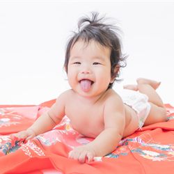 お宮参りの撮影写真